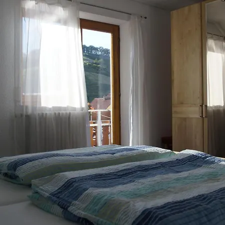 Ferienwohnung Horth 公寓