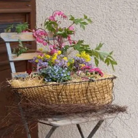 Ferienwohnung Horth *